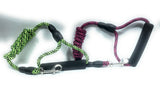 Leashes